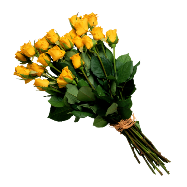 purepng.com-bouquet-of-flowersbouquetflowersbasket-of-flowers-1701527689285gsov9